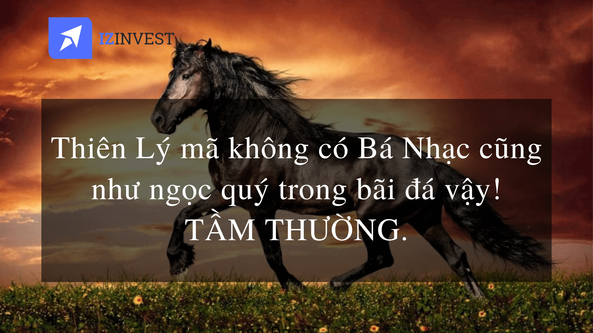 Eps 4: Kinh Nghiệm Sống – Thiên Lý mã không có Bá Nhạc cũng như ngọc quý trong bãi đá vậy! TẦM THƯỜNG.